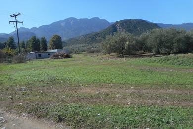 Agricultural Land Plot Sale - LAMIA, FTHIOTIDOS