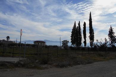 ΛΑΜΙΑ ΠΩΛΗΣΕΙΣ ΟΙΚΟΠΕΔΩΝ ΣΤΗΝ ΑΜΠΛΙΑΝΗ