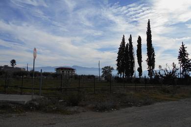 ΛΑΜΙΑ ΠΩΛΗΣΕΙΣ ΟΙΚΟΠΕΔΩΝ ΣΤΗΝ ΑΜΠΛΙΑΝΗ