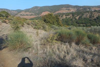 Agricultural Land Plot Sale - LAMIA, FTHIOTIDOS