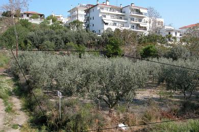 Land Sale - ANCHIALOS, MAGNISIAS